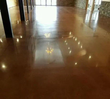 1772168485-24465_(medium)_0 (1).webp